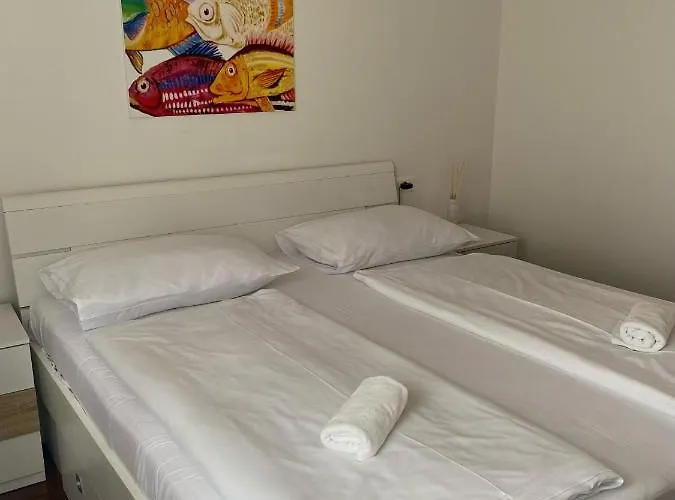 Pivac * ماكارسكا