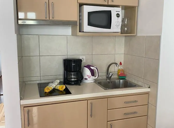 Apartament Pivac *